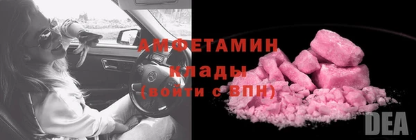 гидра Верхний Тагил