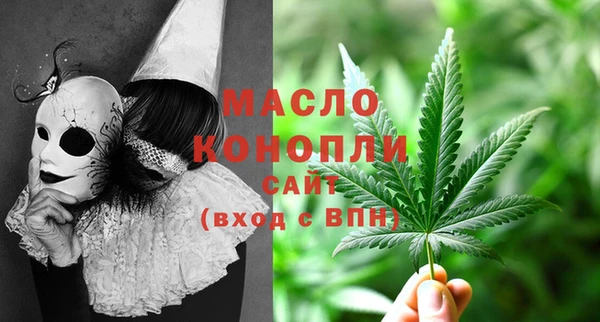 гидра Верхний Тагил