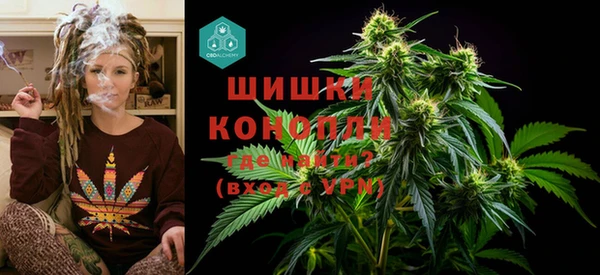 spice Бородино