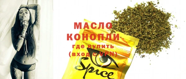 гидра Верхний Тагил